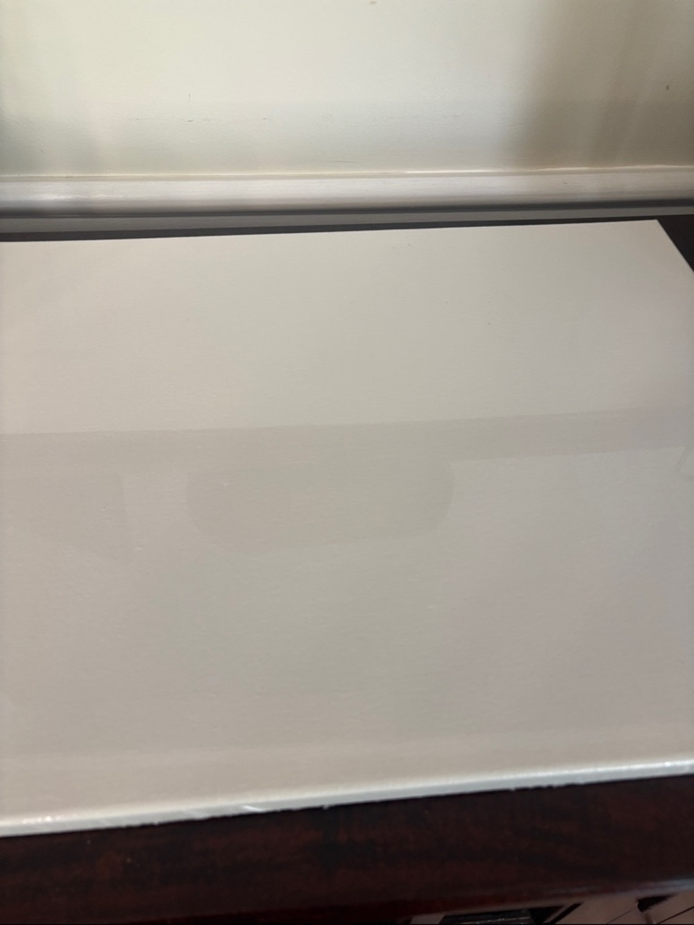 Blank White Canvas Panel